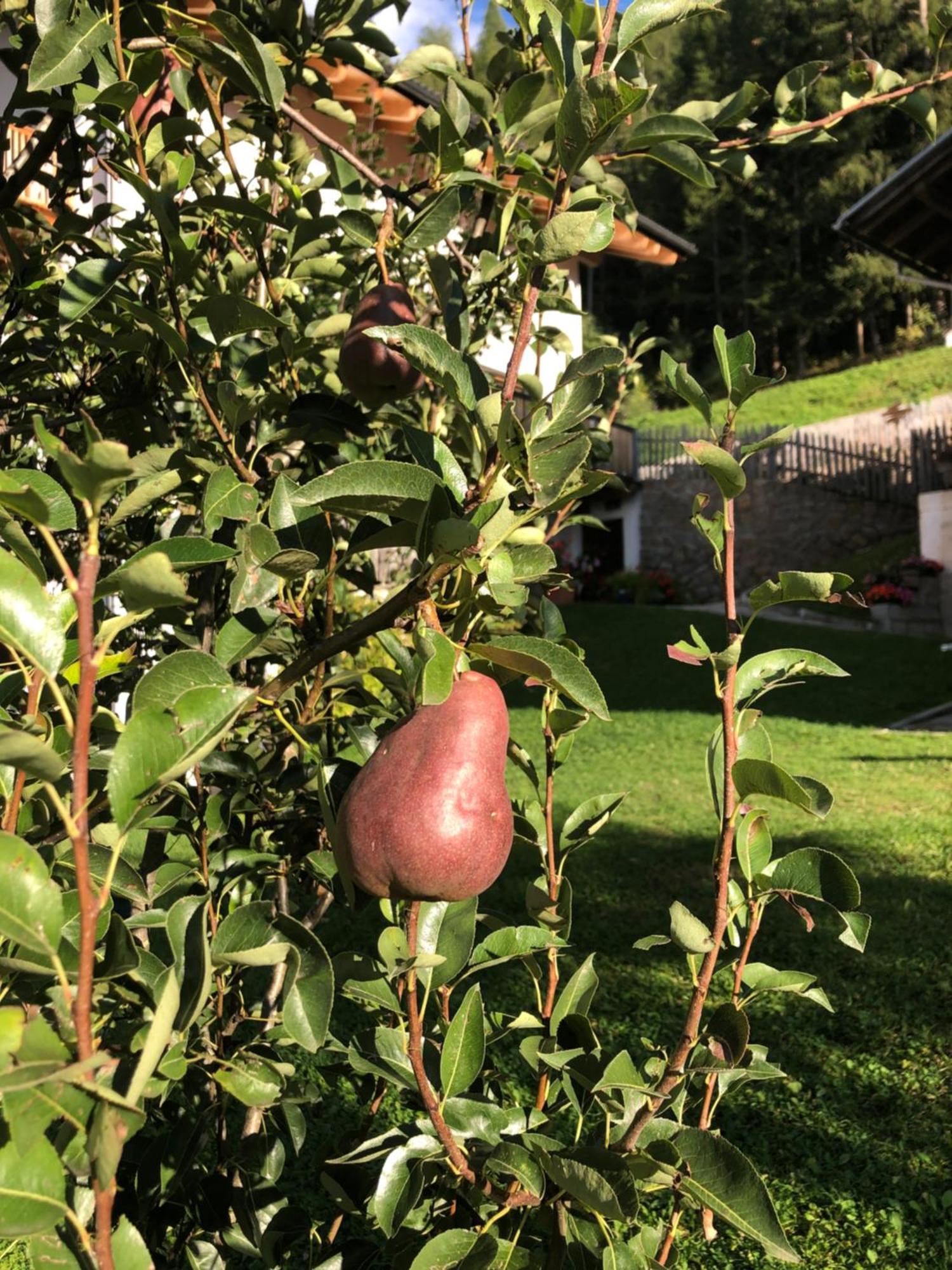 Apartament Planatschhof Funes  Zewnętrze zdjęcie