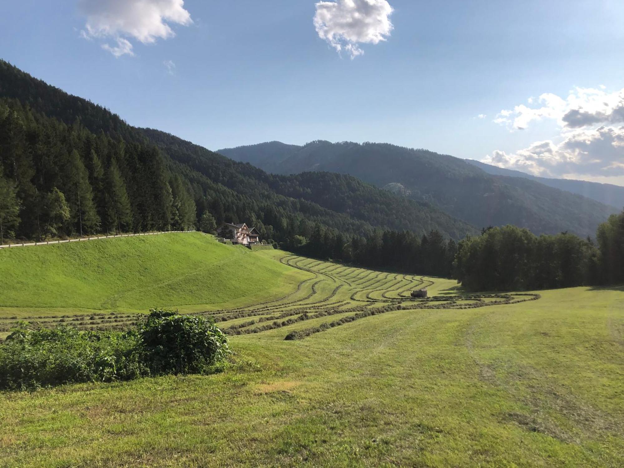 Apartament Planatschhof Funes  Zewnętrze zdjęcie
